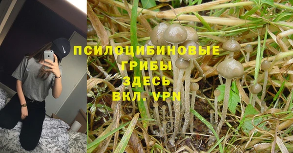 таблы Володарск
