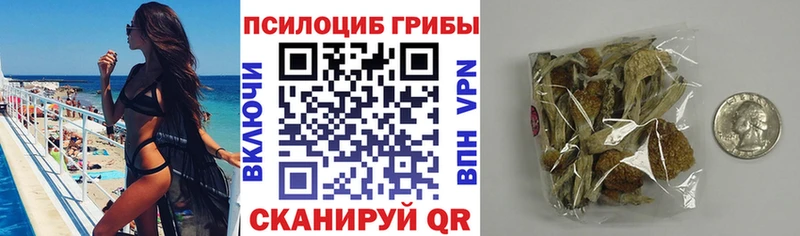 Псилоцибиновые грибы мухоморы  что такое наркотик  Малаховка 